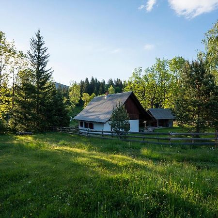 Holiday Home Srednja Vas Srednja Vas v Bohinju Εξωτερικό φωτογραφία