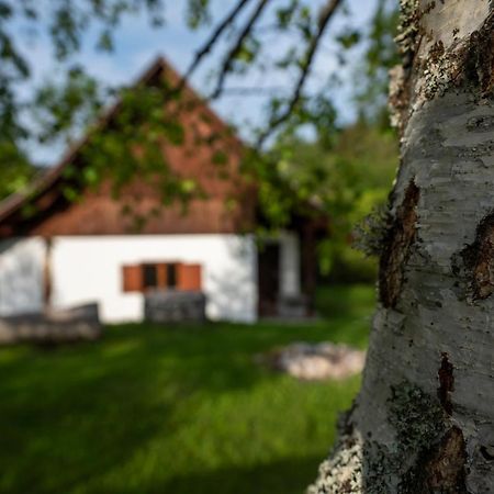 Holiday Home Srednja Vas Srednja Vas v Bohinju Εξωτερικό φωτογραφία