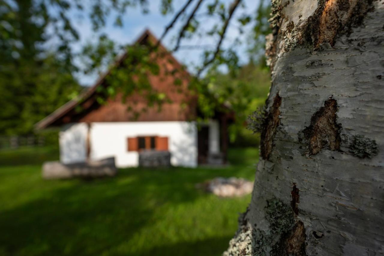 Holiday Home Srednja Vas Srednja Vas v Bohinju Εξωτερικό φωτογραφία