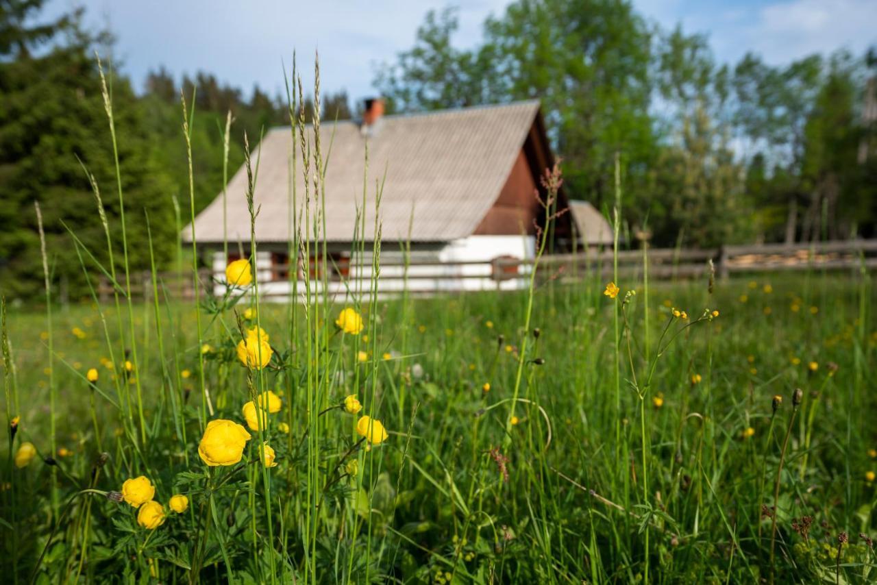 Holiday Home Srednja Vas Srednja Vas v Bohinju Εξωτερικό φωτογραφία