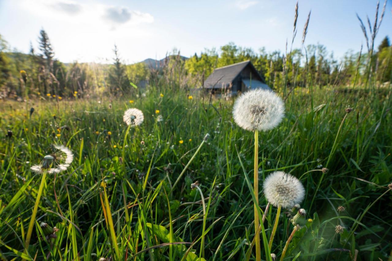 Holiday Home Srednja Vas Srednja Vas v Bohinju Εξωτερικό φωτογραφία