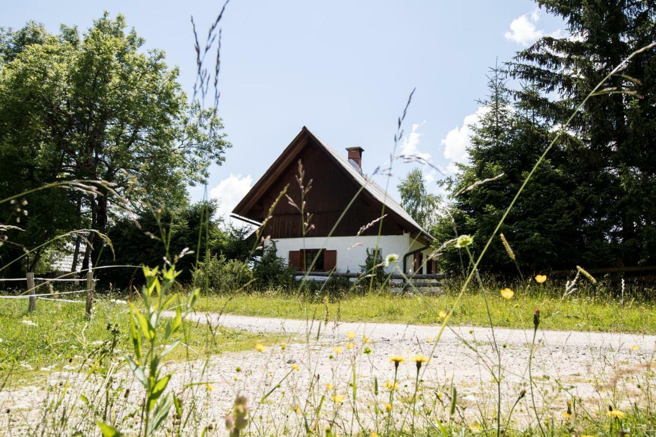 Holiday Home Srednja Vas Srednja Vas v Bohinju Εξωτερικό φωτογραφία