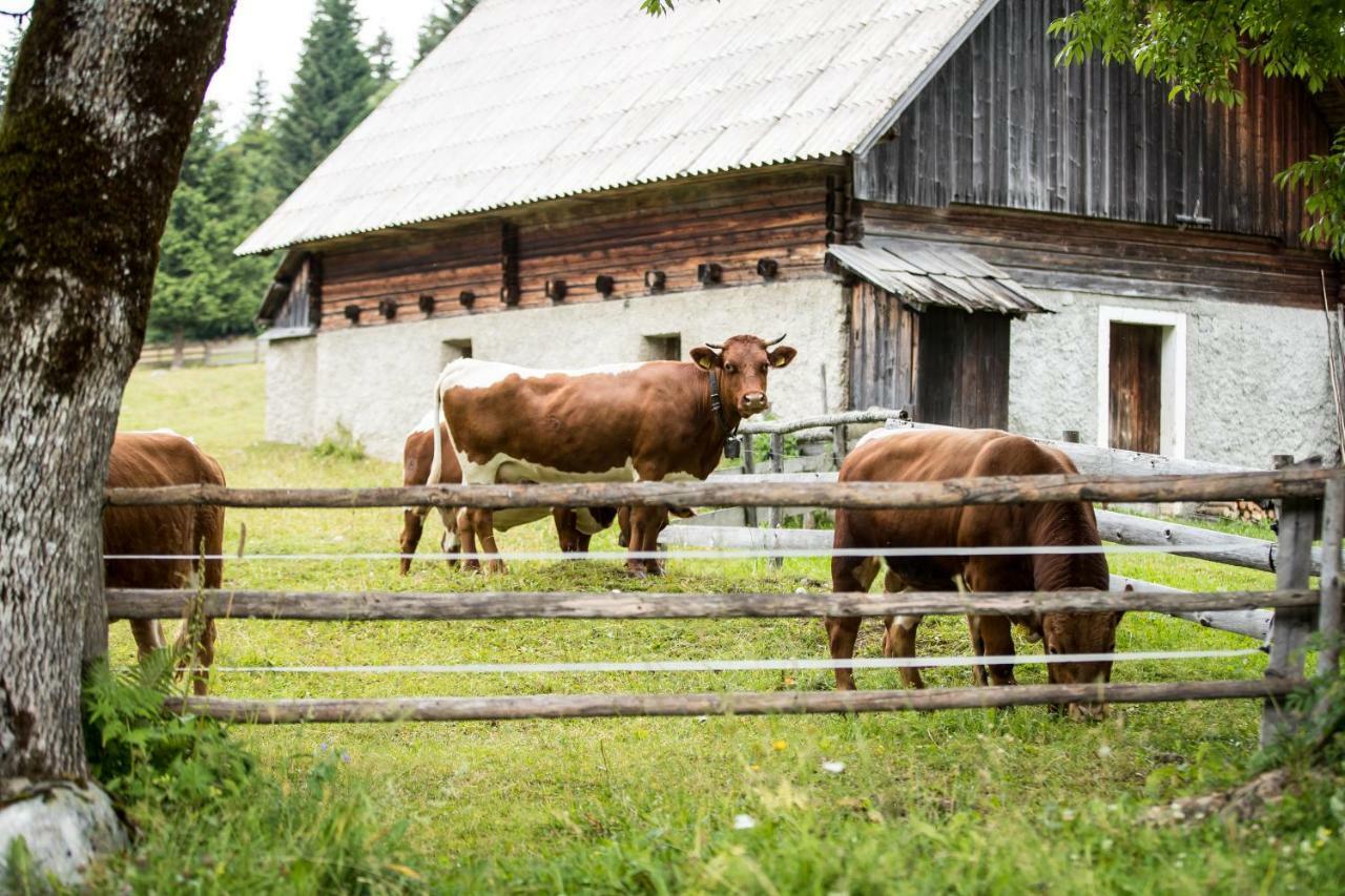 Holiday Home Srednja Vas Srednja Vas v Bohinju Εξωτερικό φωτογραφία
